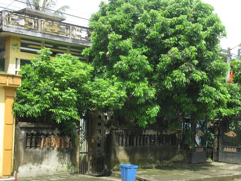 Phong thủy nhà ở