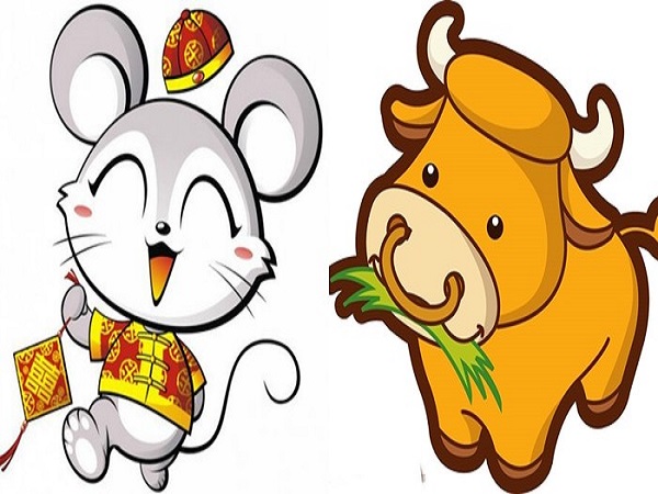 Tuổi Tý và tuổi Sửu có hợp nhau không?