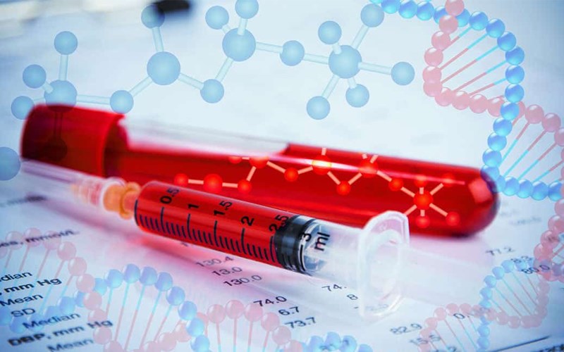 vitamin K Hỗ trợ quá trình đông máu