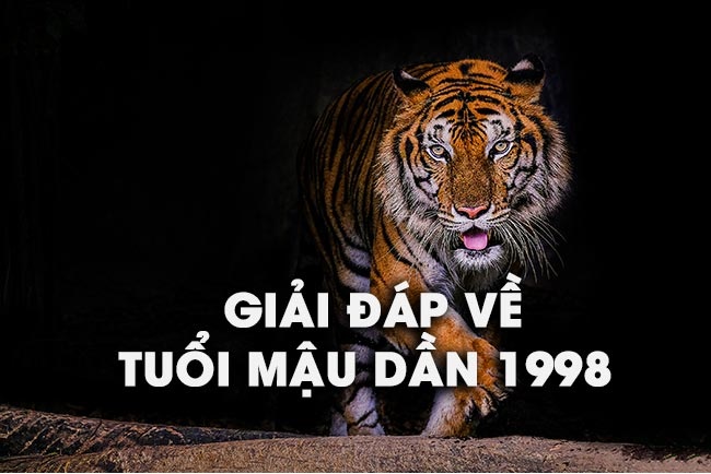 Nữ Mậu Dần 1998 hợp với nam tuổi nào? Tìm kiếm người chồng chân lý cuộc đời 3