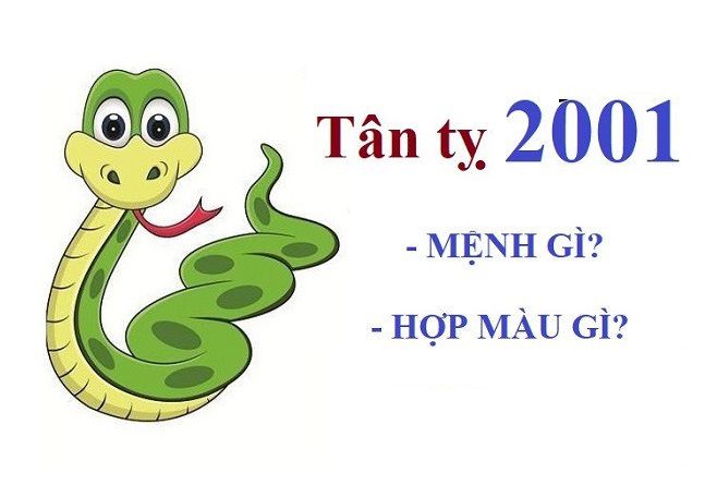 Giới thiệu chung về tuổi Tân Tỵ 2001