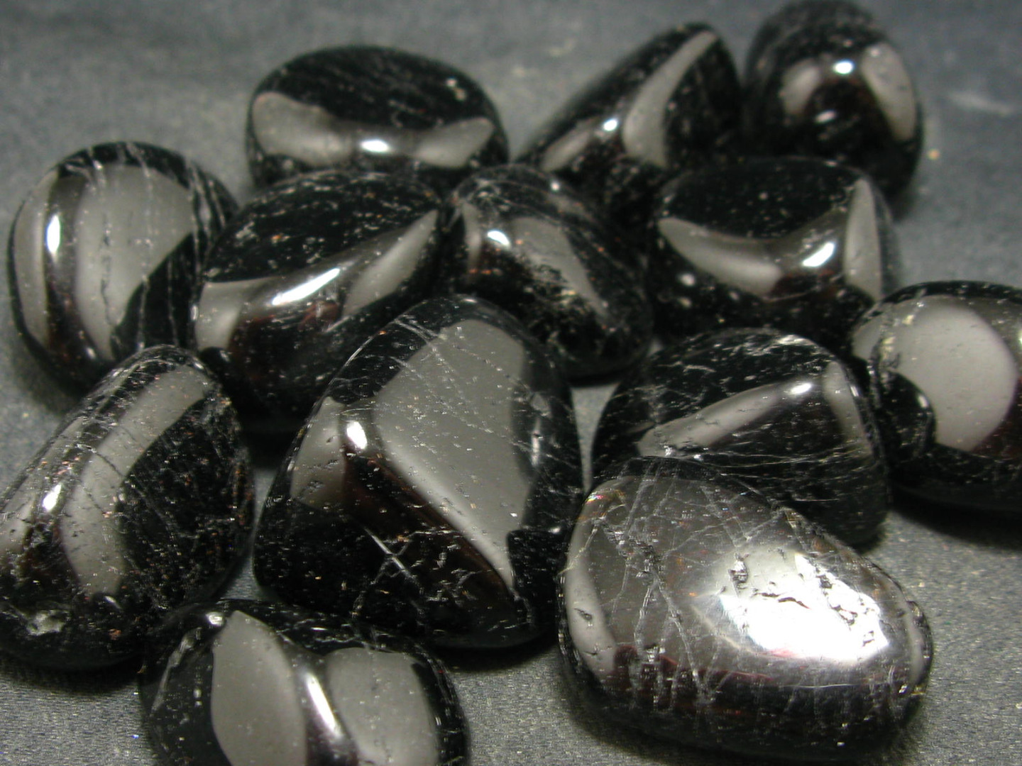 2001 có hợp với 2005 không-2