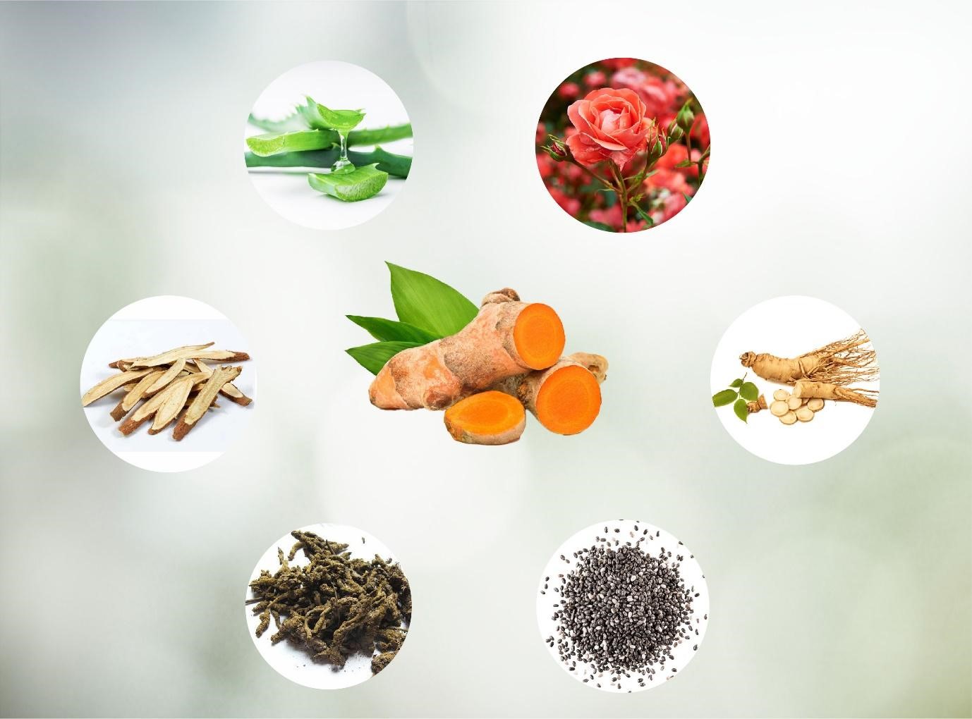 Khơi nguồn giá trị Việt với mỹ phẩm thiên nhiên